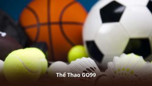 Thể Thao GO99 – Nền Tảng Cá Cược Bóng Đá Được Yêu Thích Hiện Nay