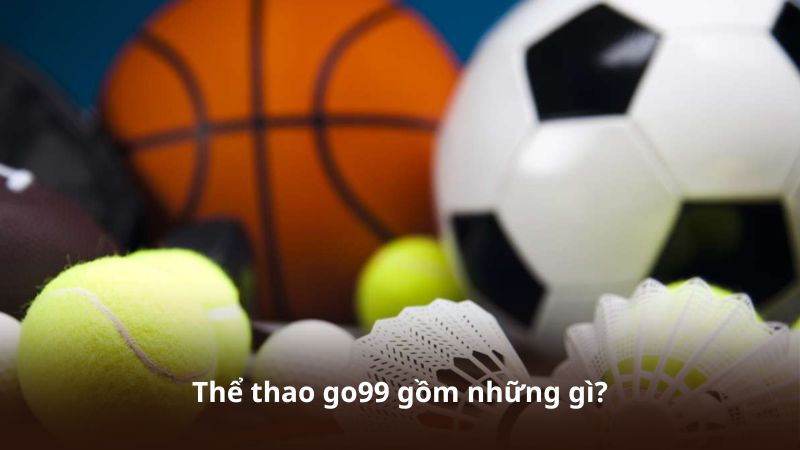 Thể thao go99 gồm những gì?